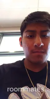 Roommate looking Rochester, MI, $1500