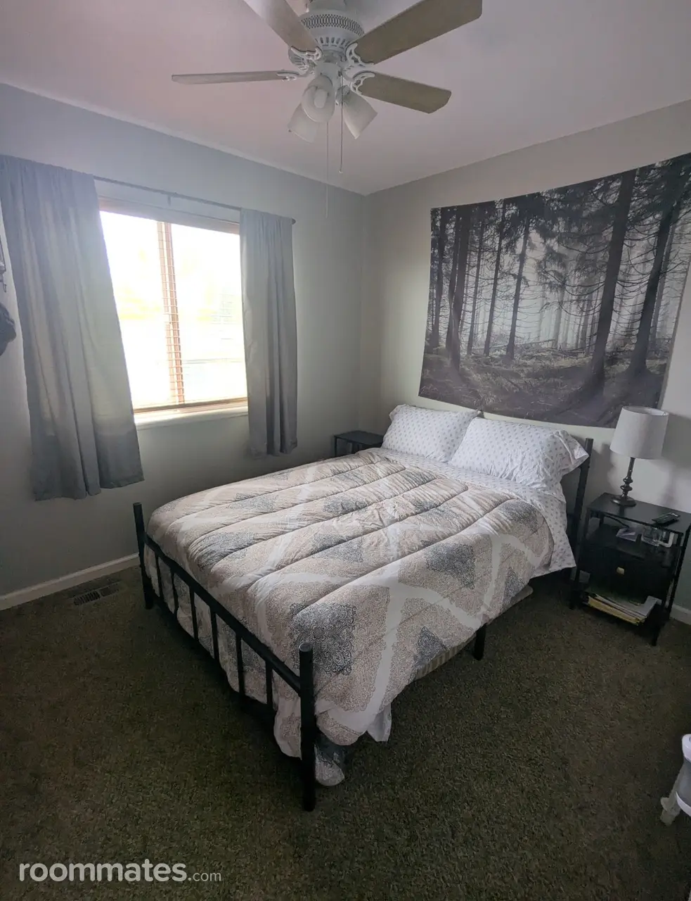 Profile photo 3 of 11