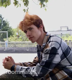 Roommate looking Battle Creek, MI, $600