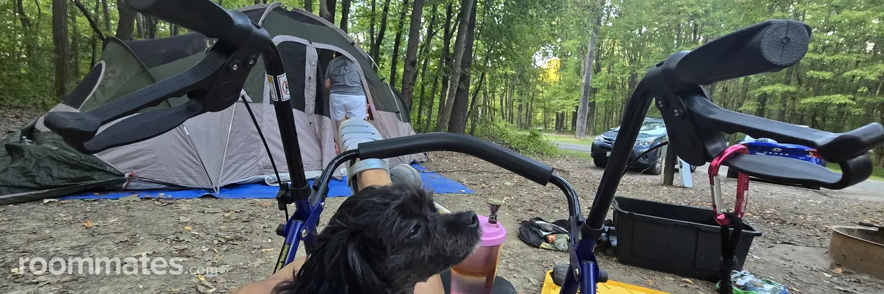 Profile photo 6 of 10