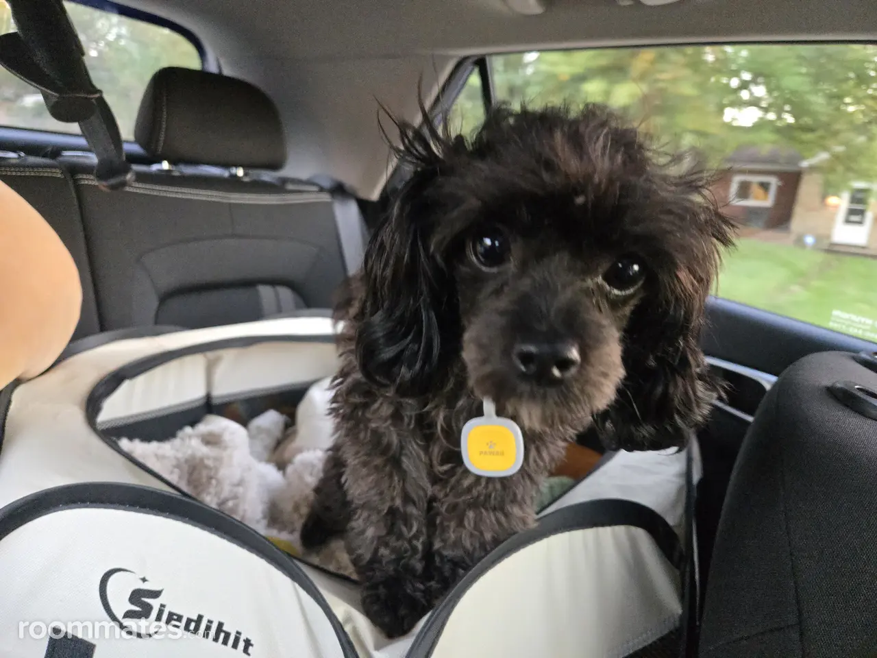 Profile photo 8 of 10