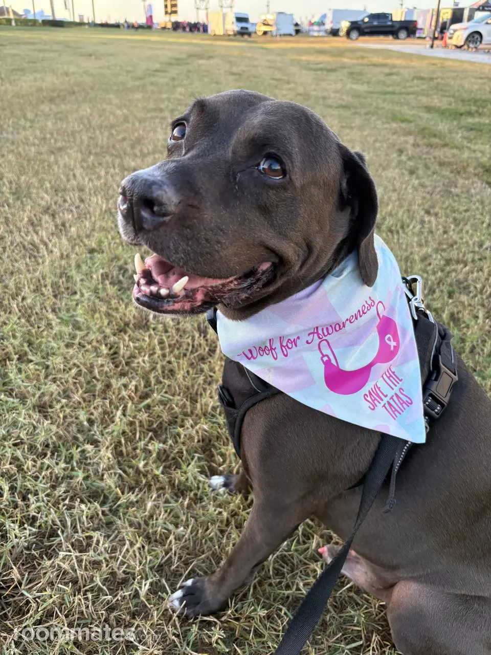 Profile photo 4 of 4