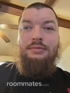 Roommate looking Louisville, KY, $800