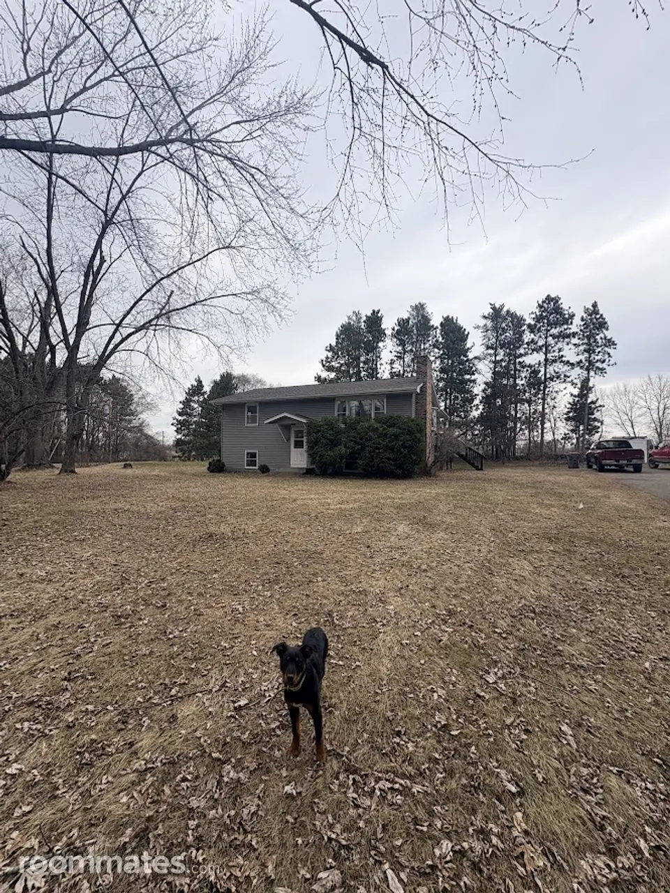 Profile photo 9 of 10