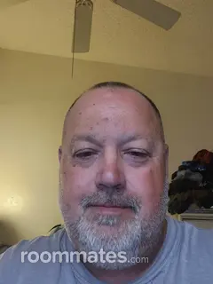 Roommate looking Saint Petersburg, FL, $900