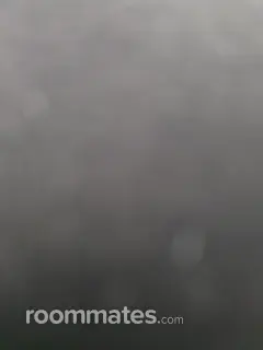 Roommate looking Horsham Township, PA, $800