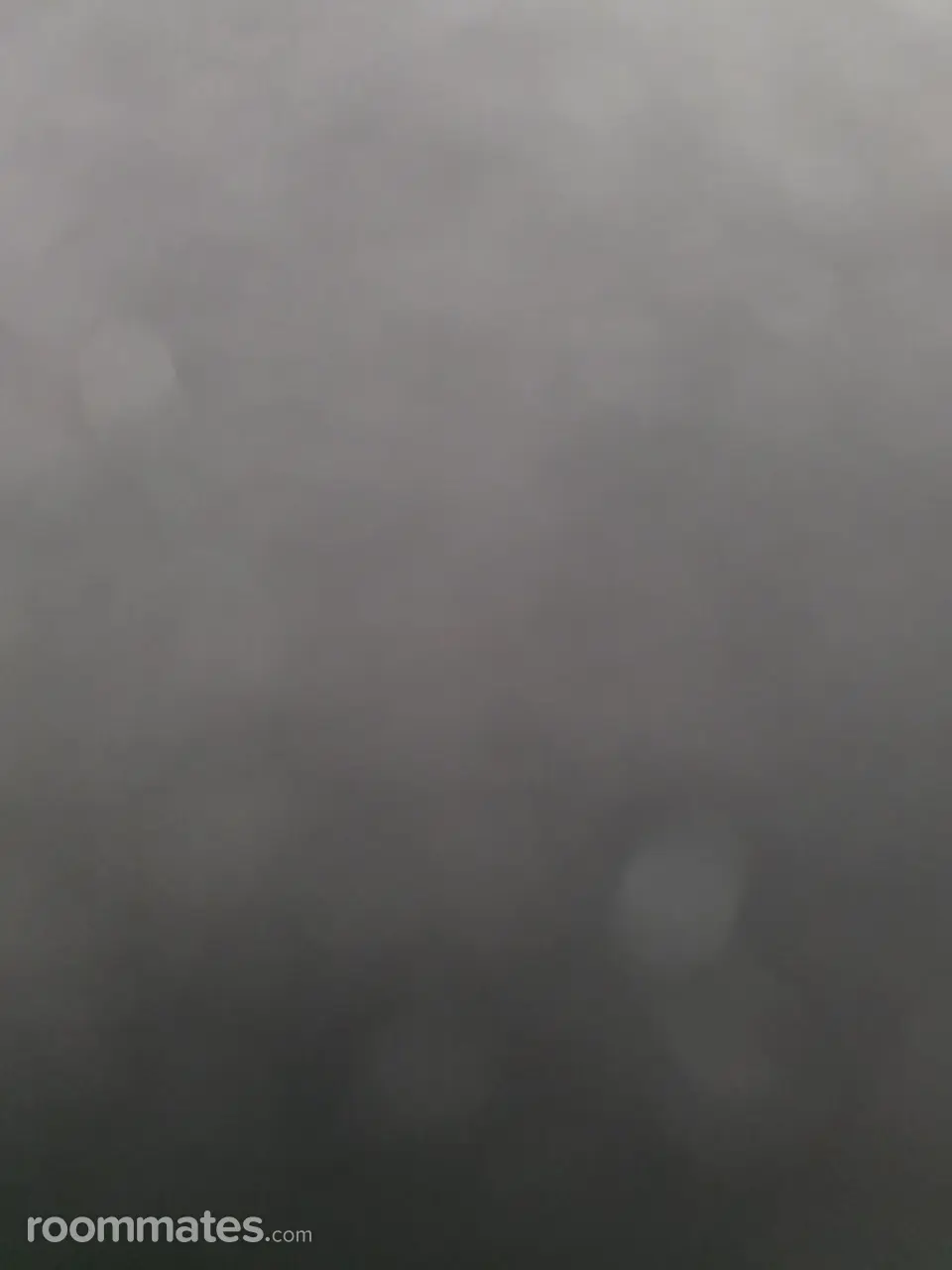 Profile photo 1 of 1