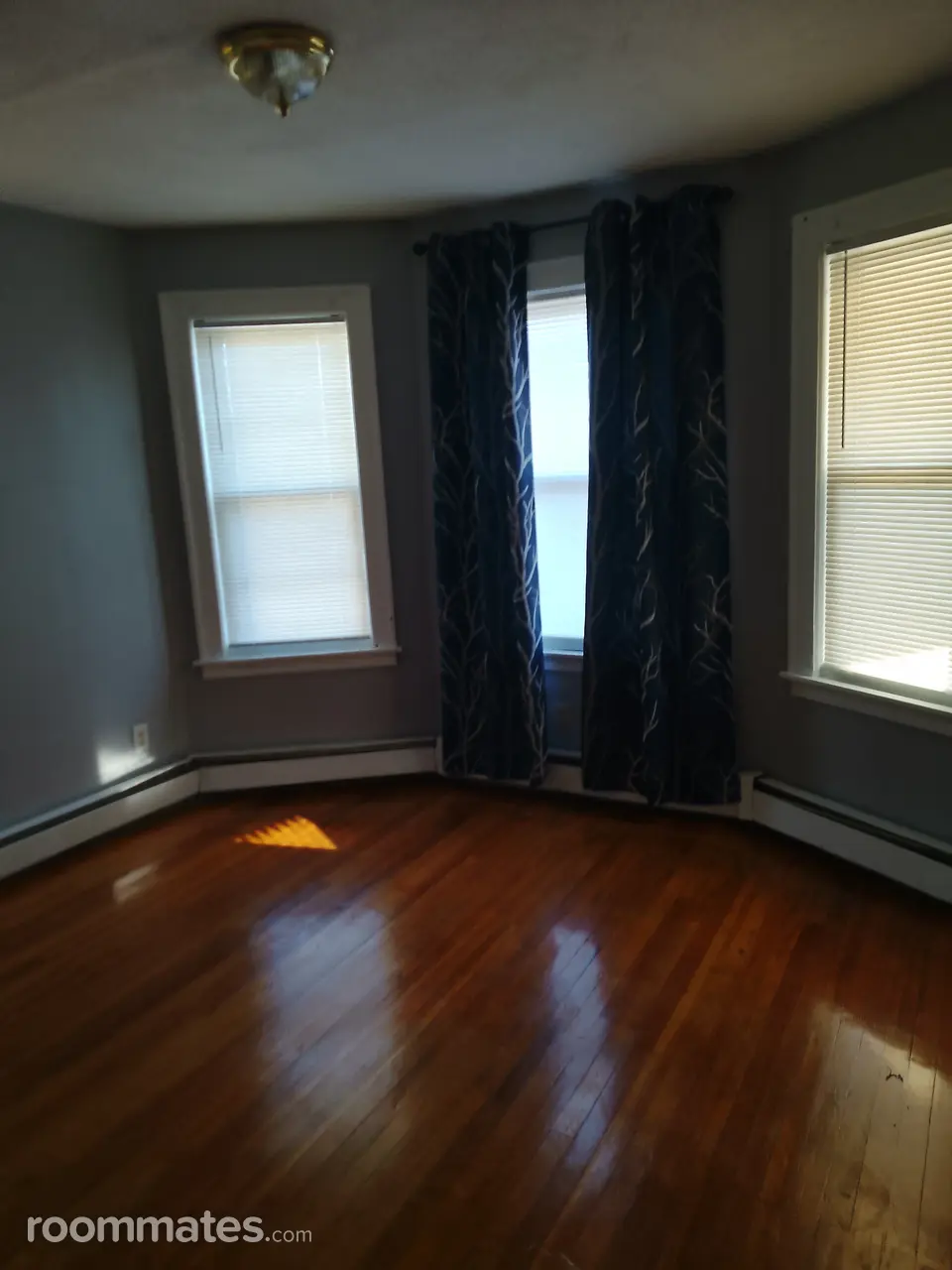 Profile photo 2 of 11