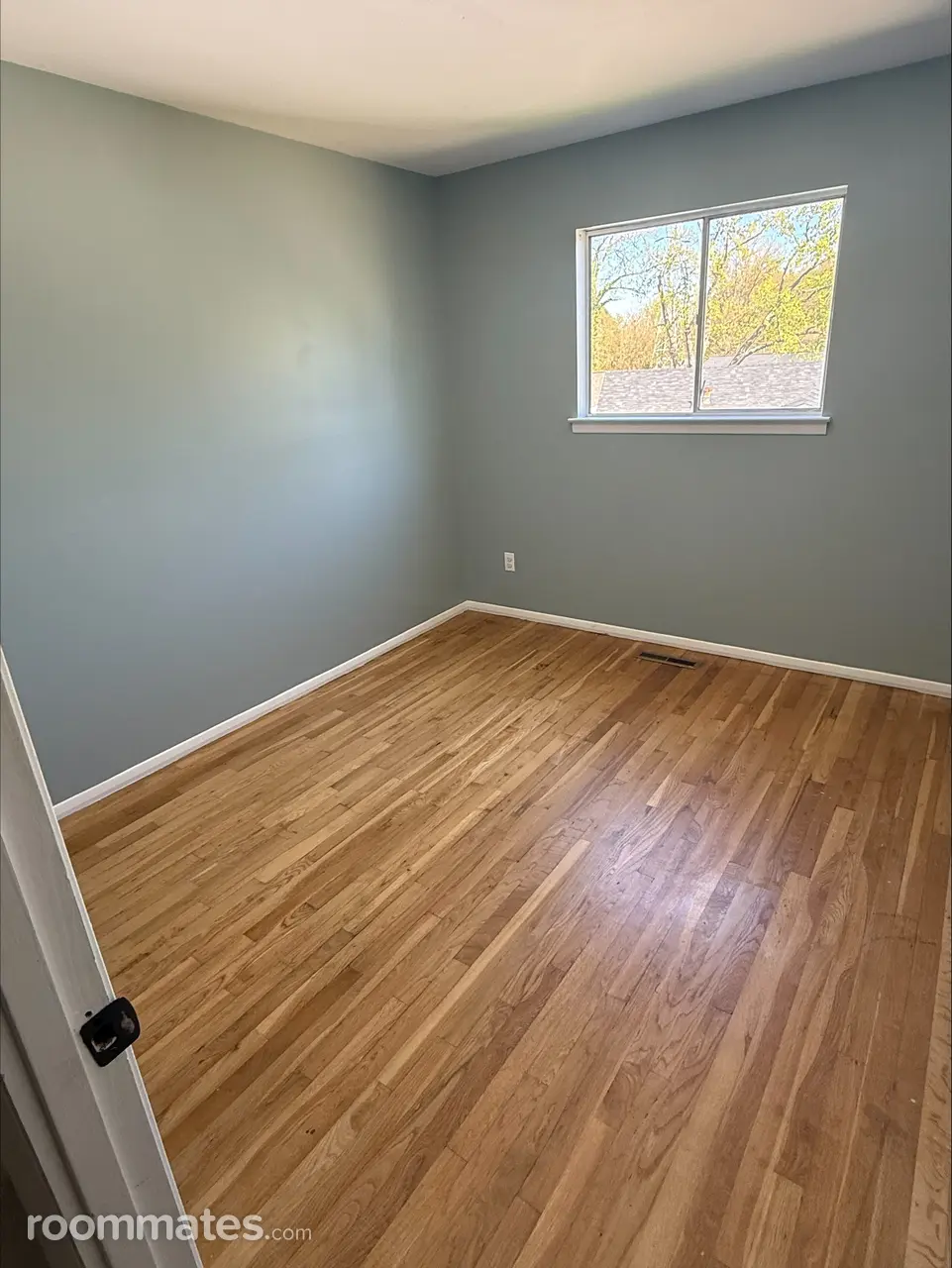 Profile photo 5 of 13