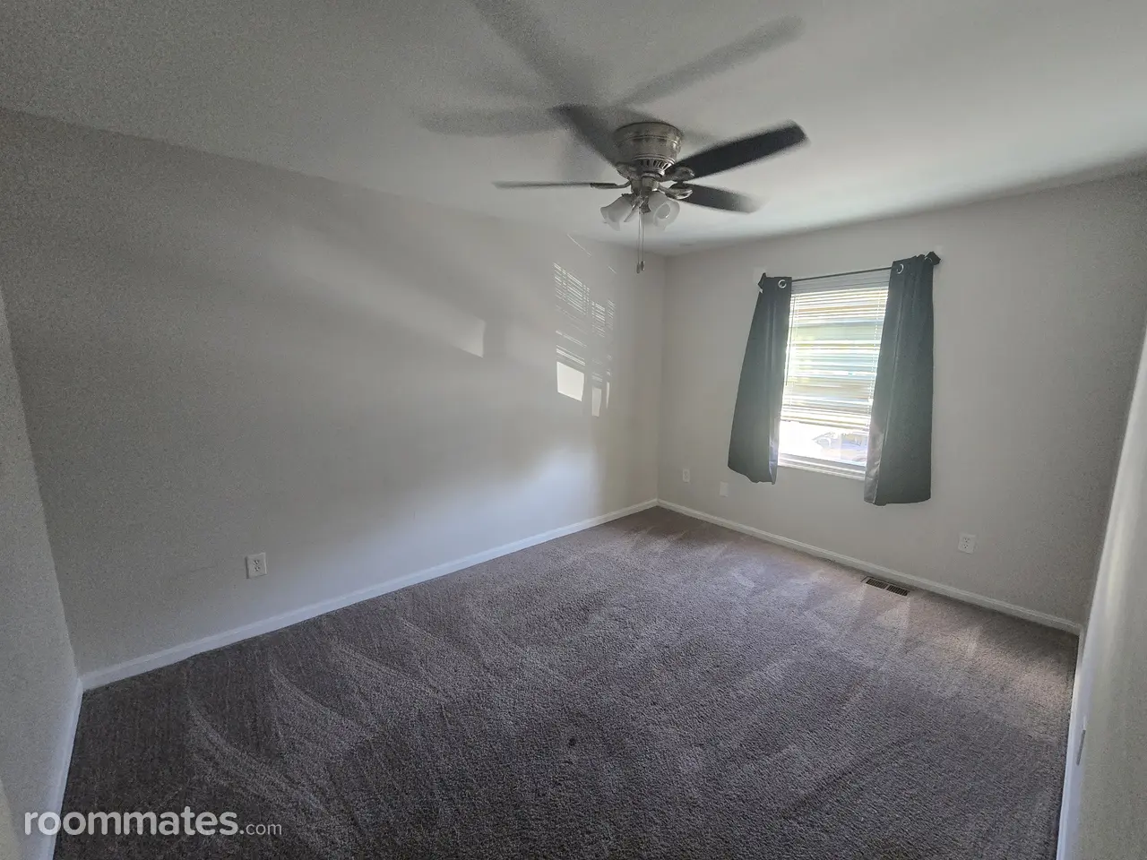 Profile photo 2 of 11