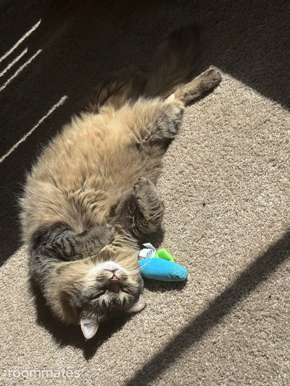 Profile photo 4 of 4