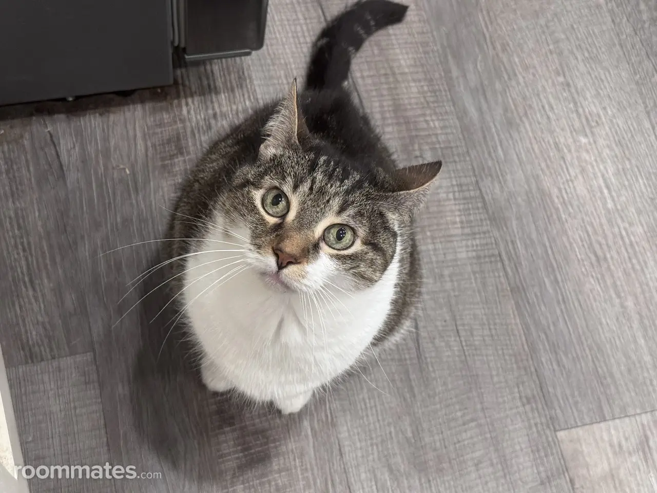 Profile photo 3 of 4