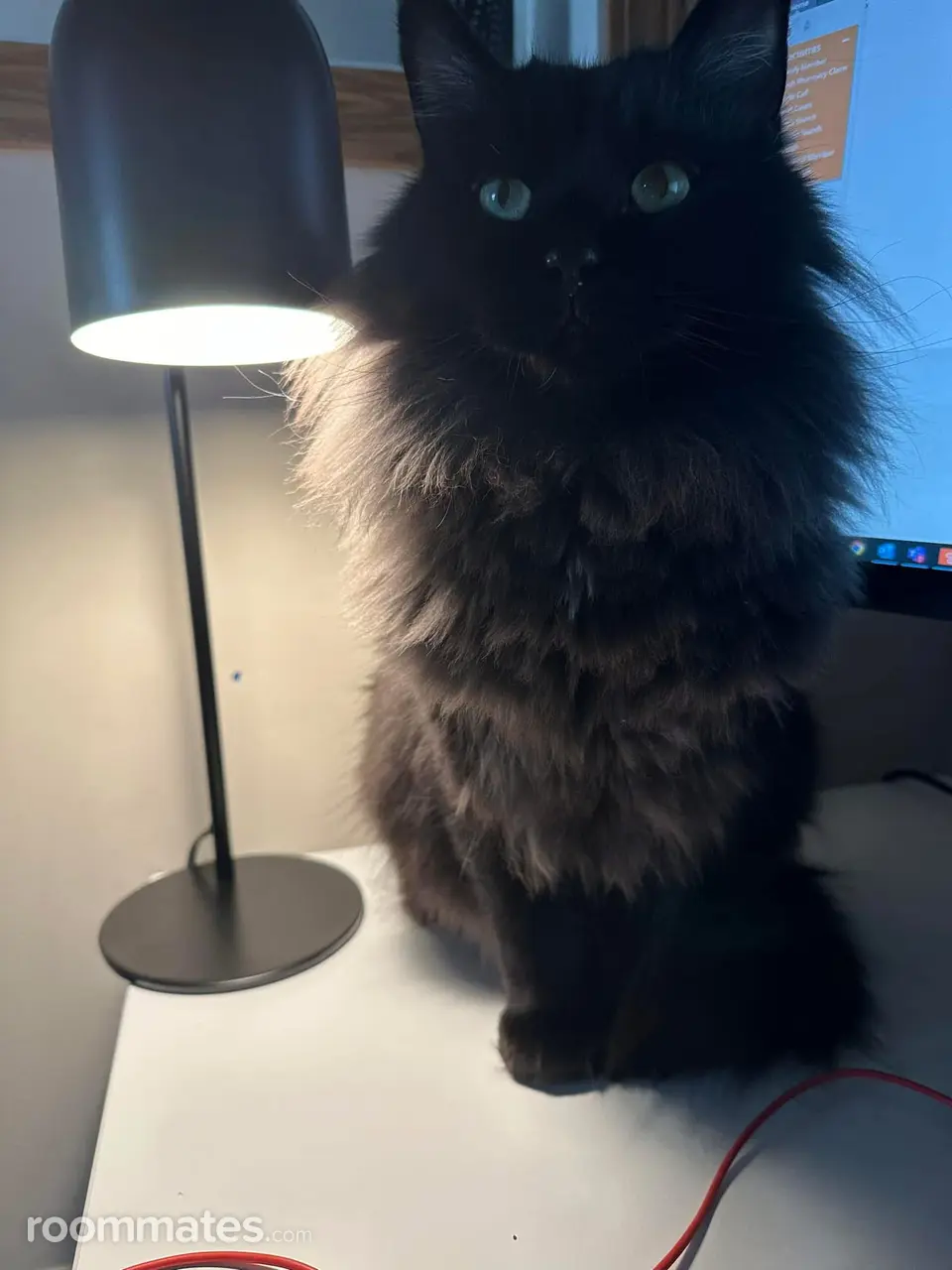 Profile photo 2 of 4