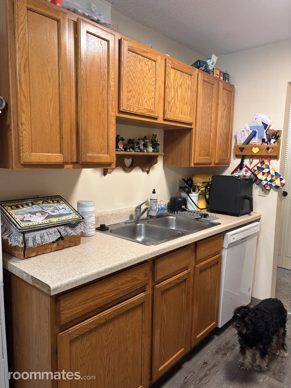 Profile photo 4 of 14