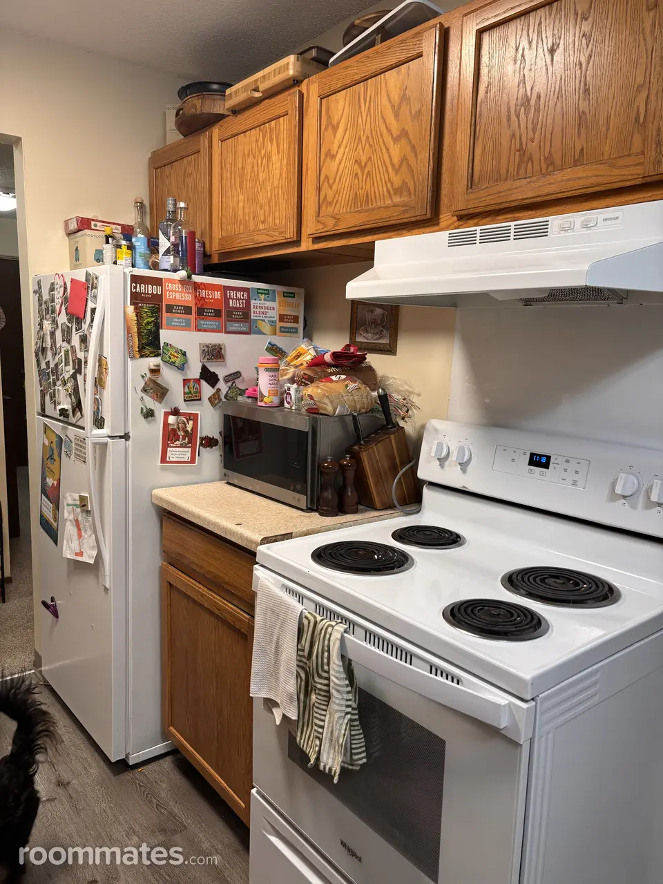 Profile photo 7 of 14