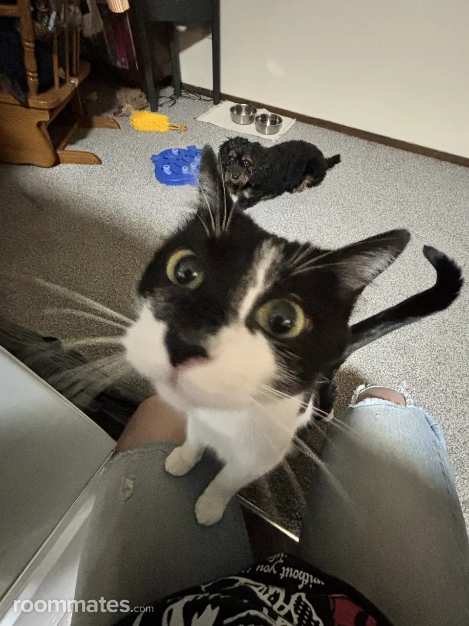 Profile photo 10 of 14