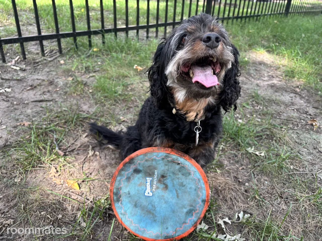 Profile photo 12 of 14