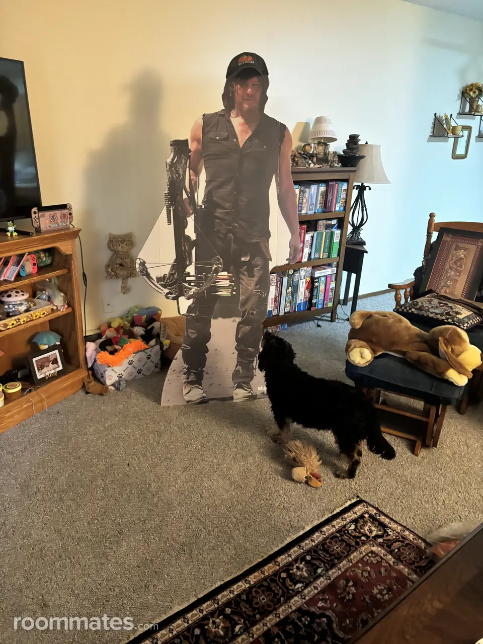 Profile photo 13 of 14