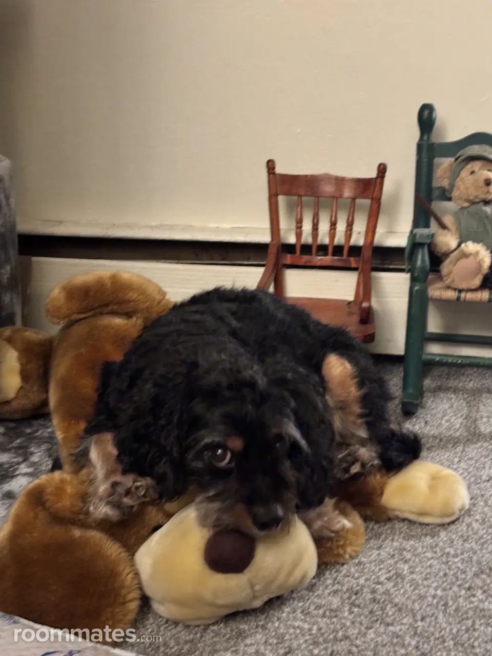 Profile photo 11 of 14