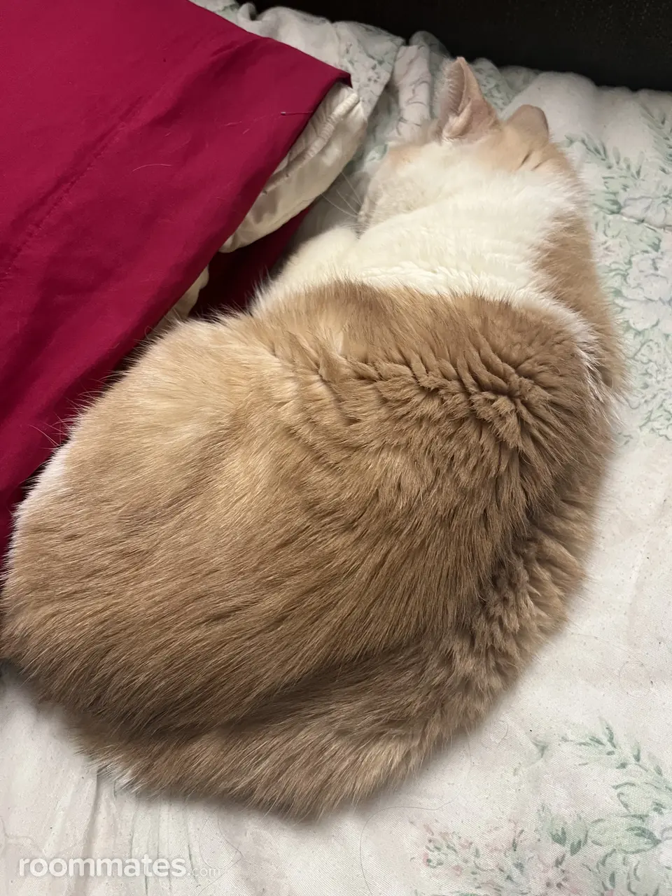 Profile photo 2 of 2