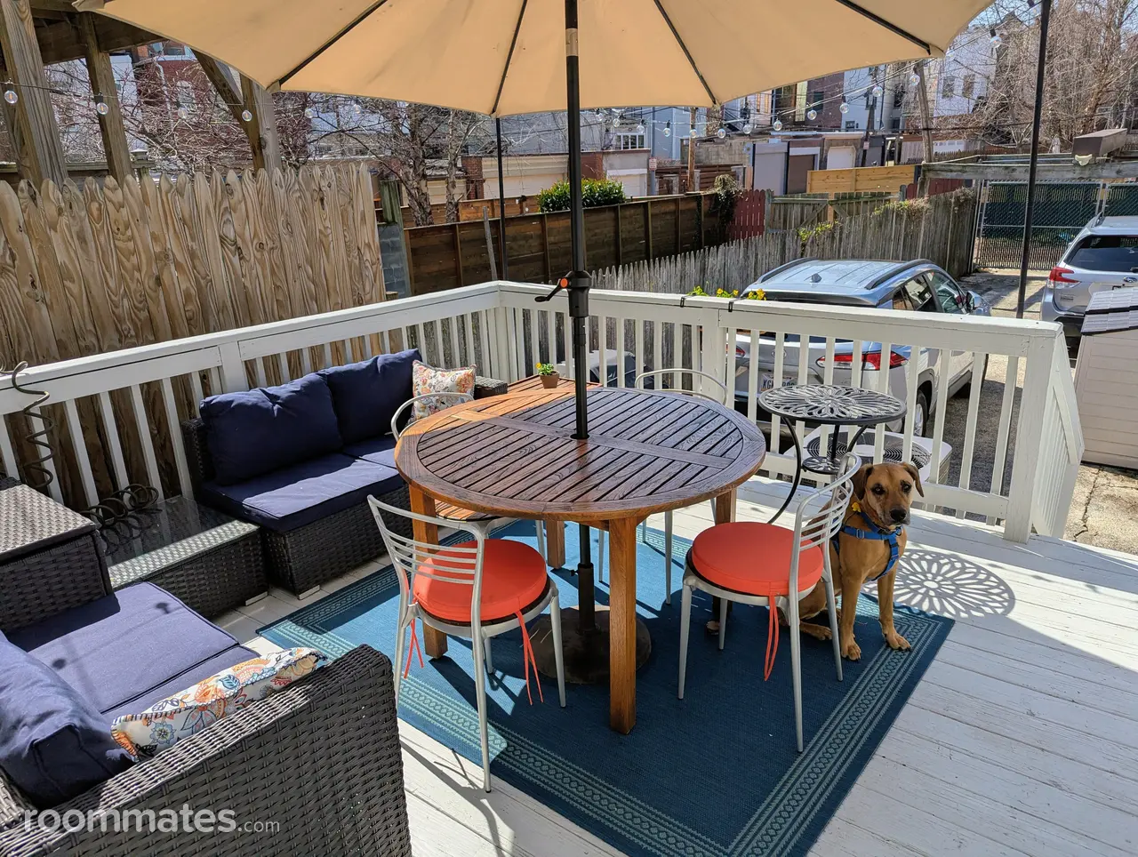 Profile photo 5 of 9