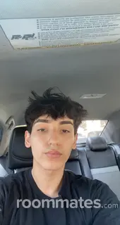 Roommate looking Stafford, TX, $600