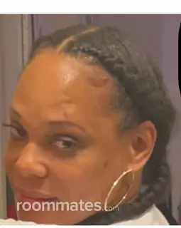 Roommate looking Southfield, MI, $1000