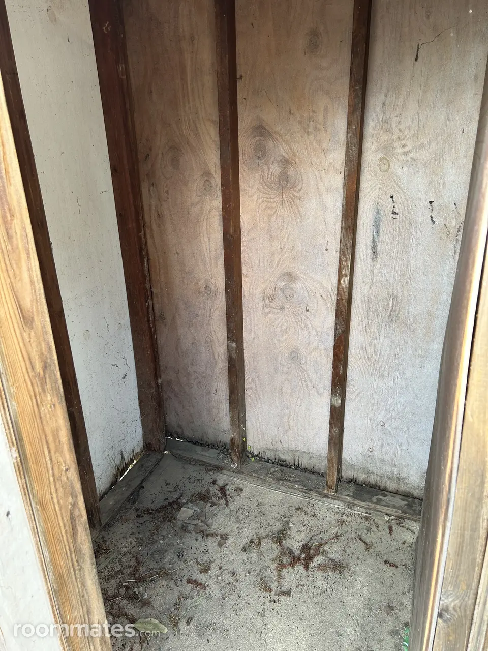 Profile photo 10 of 11