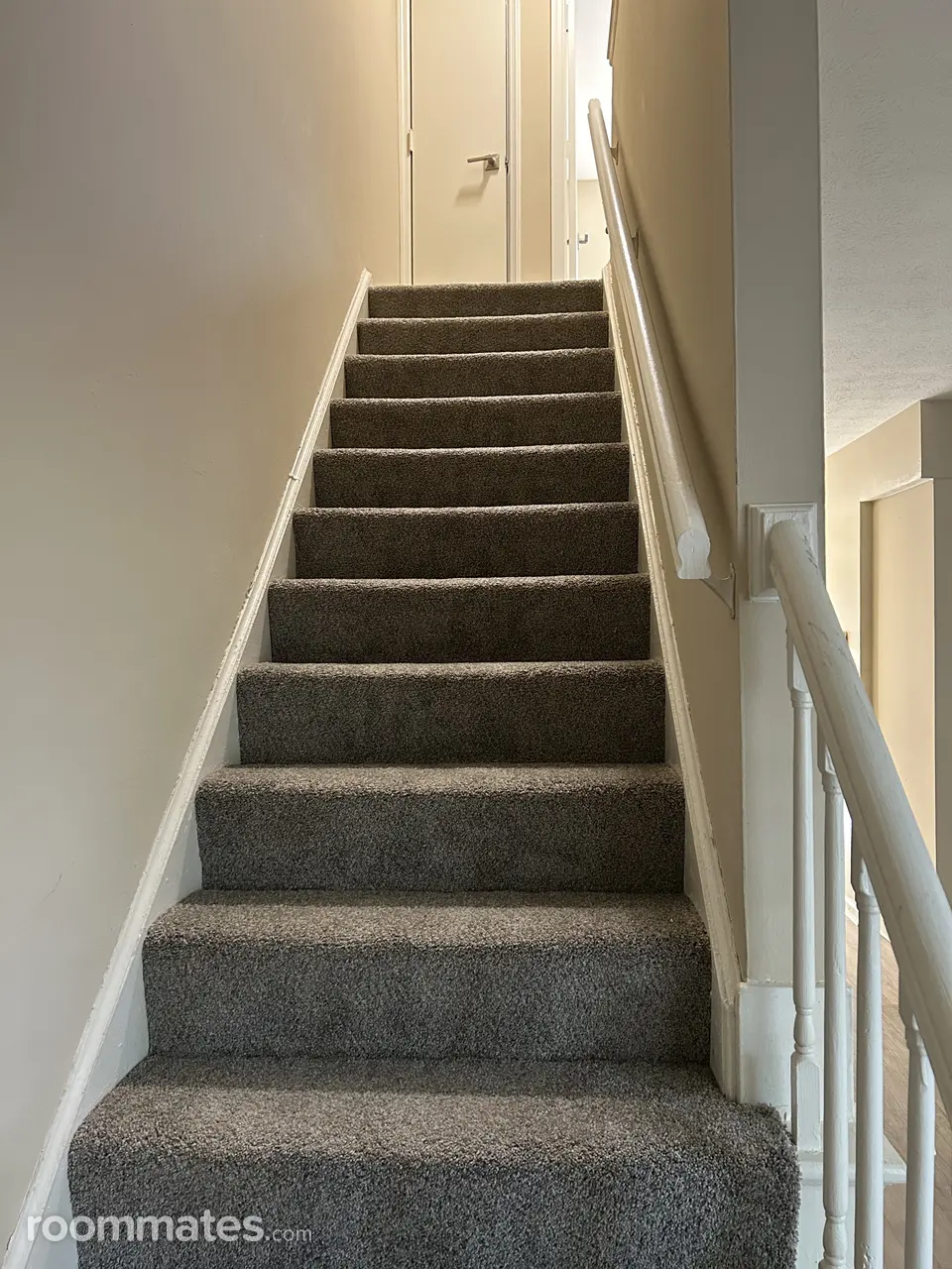 Profile photo 8 of 11