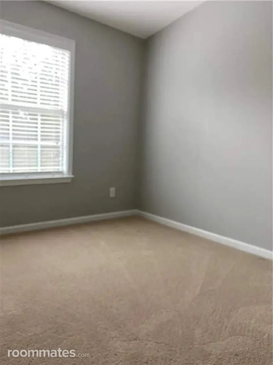 Profile photo 2 of 8