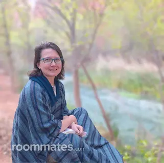 Roommate looking Crestwood, IL, $1200