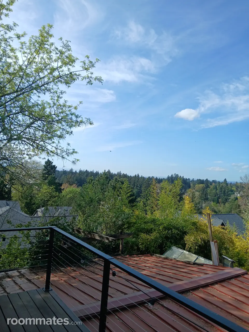 Profile photo 9 of 10