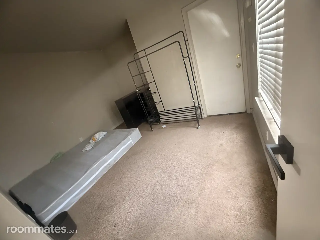 Profile photo 2 of 3