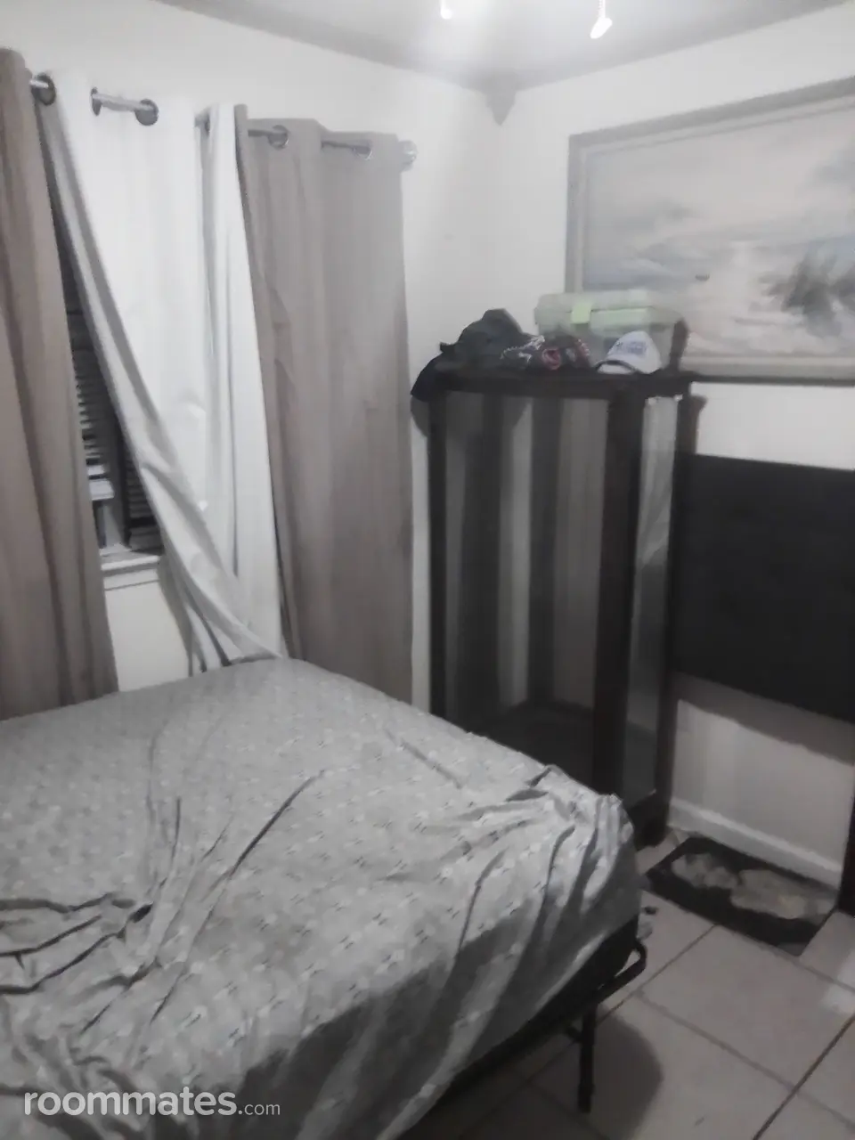 Profile photo 2 of 2