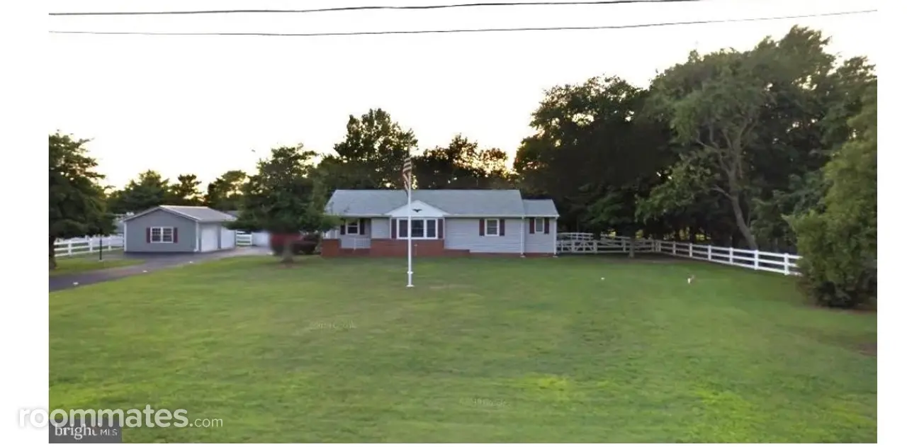 Profile photo 2 of 2