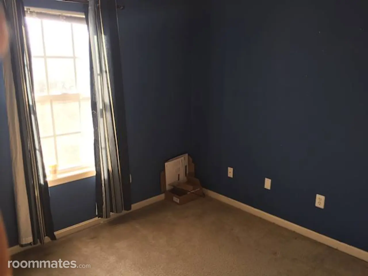 Profile photo 4 of 6