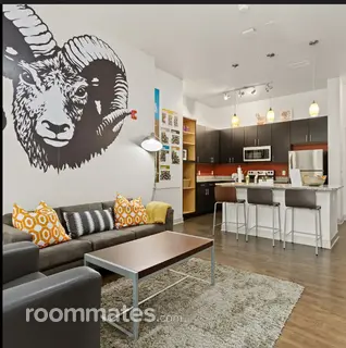 Room for rent in Fort Collins, CO $889, apartment