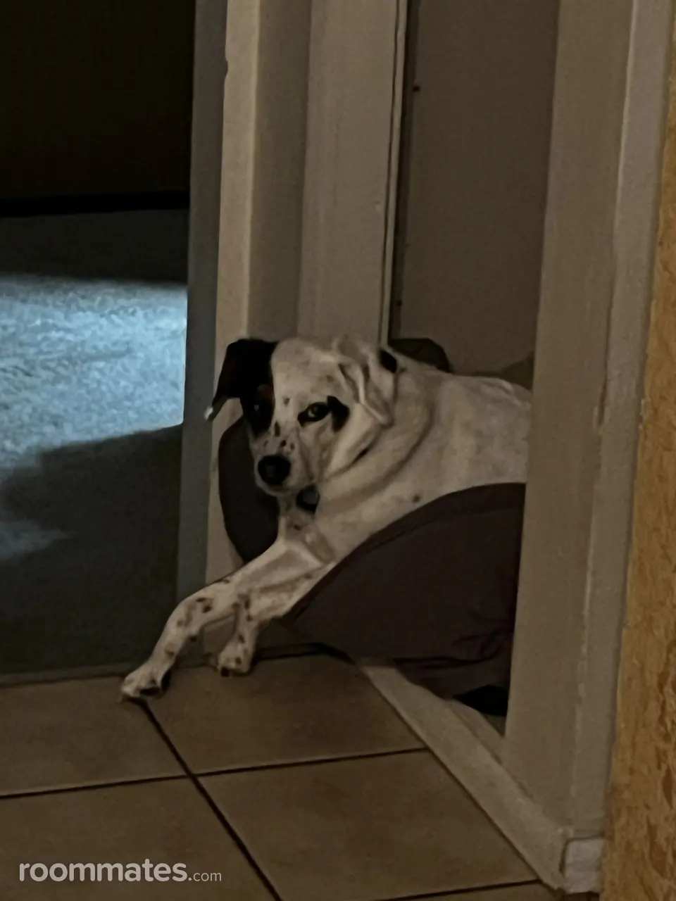 Profile photo 5 of 8