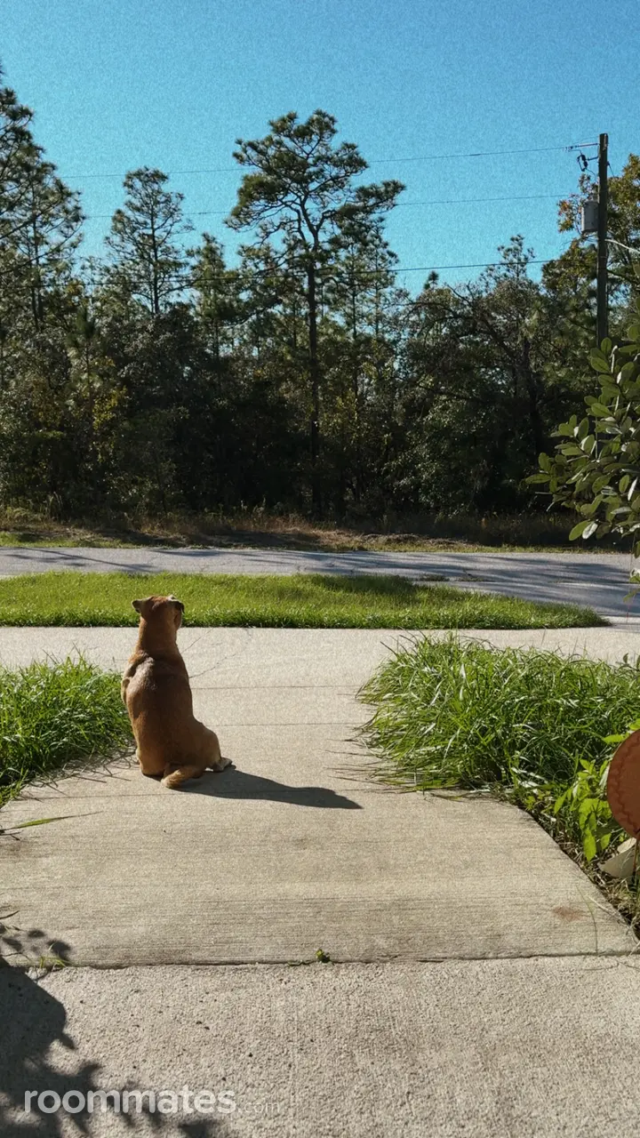 Profile photo 7 of 8