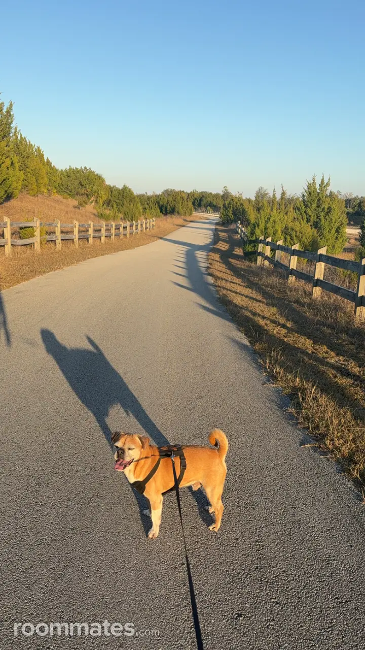 Profile photo 6 of 8