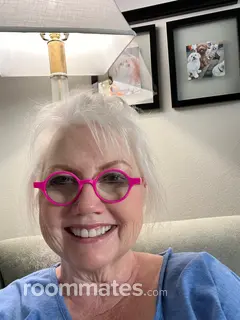 Roommate looking Houston, TX, $1500