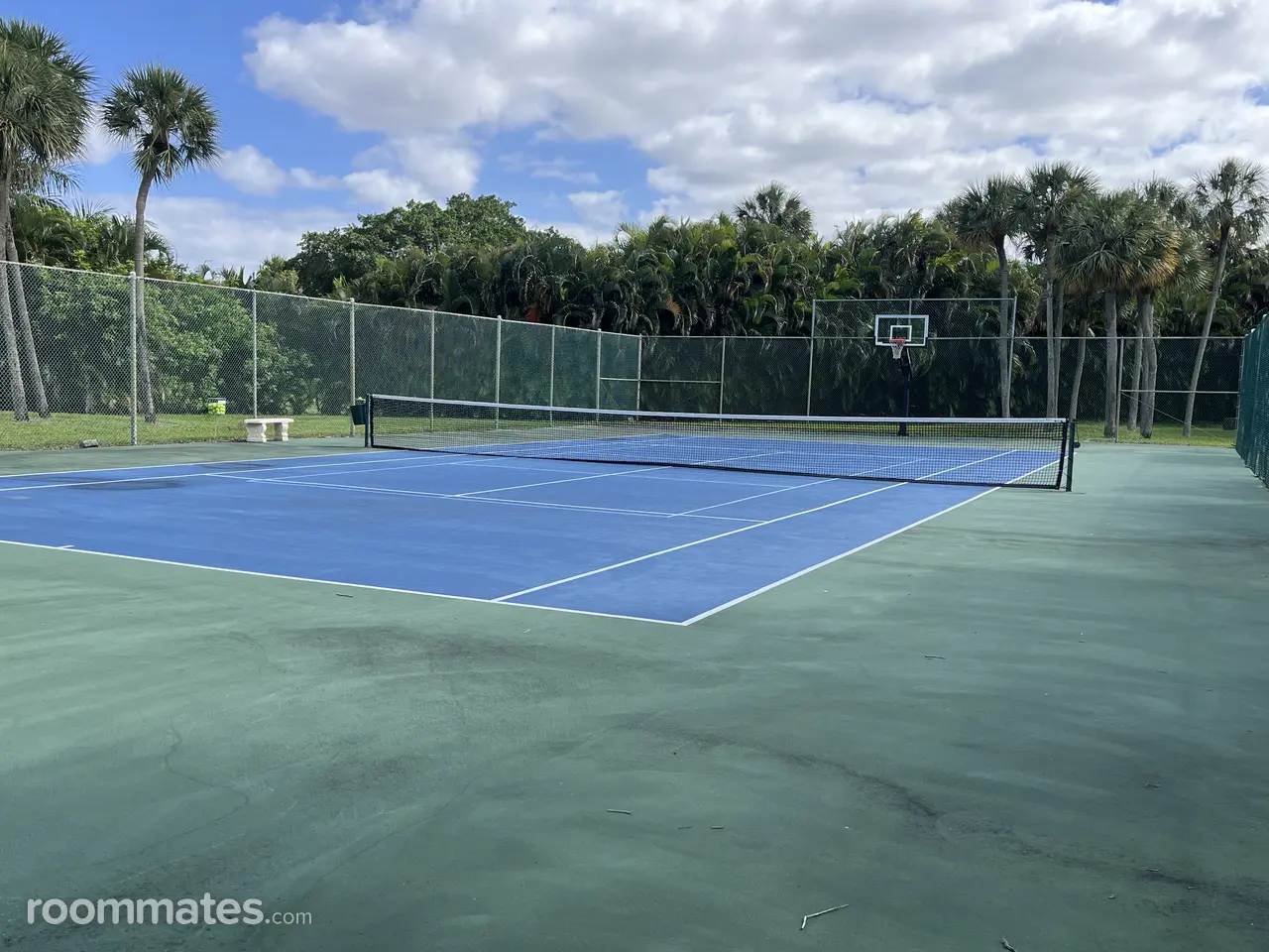 Profile photo 6 of 10