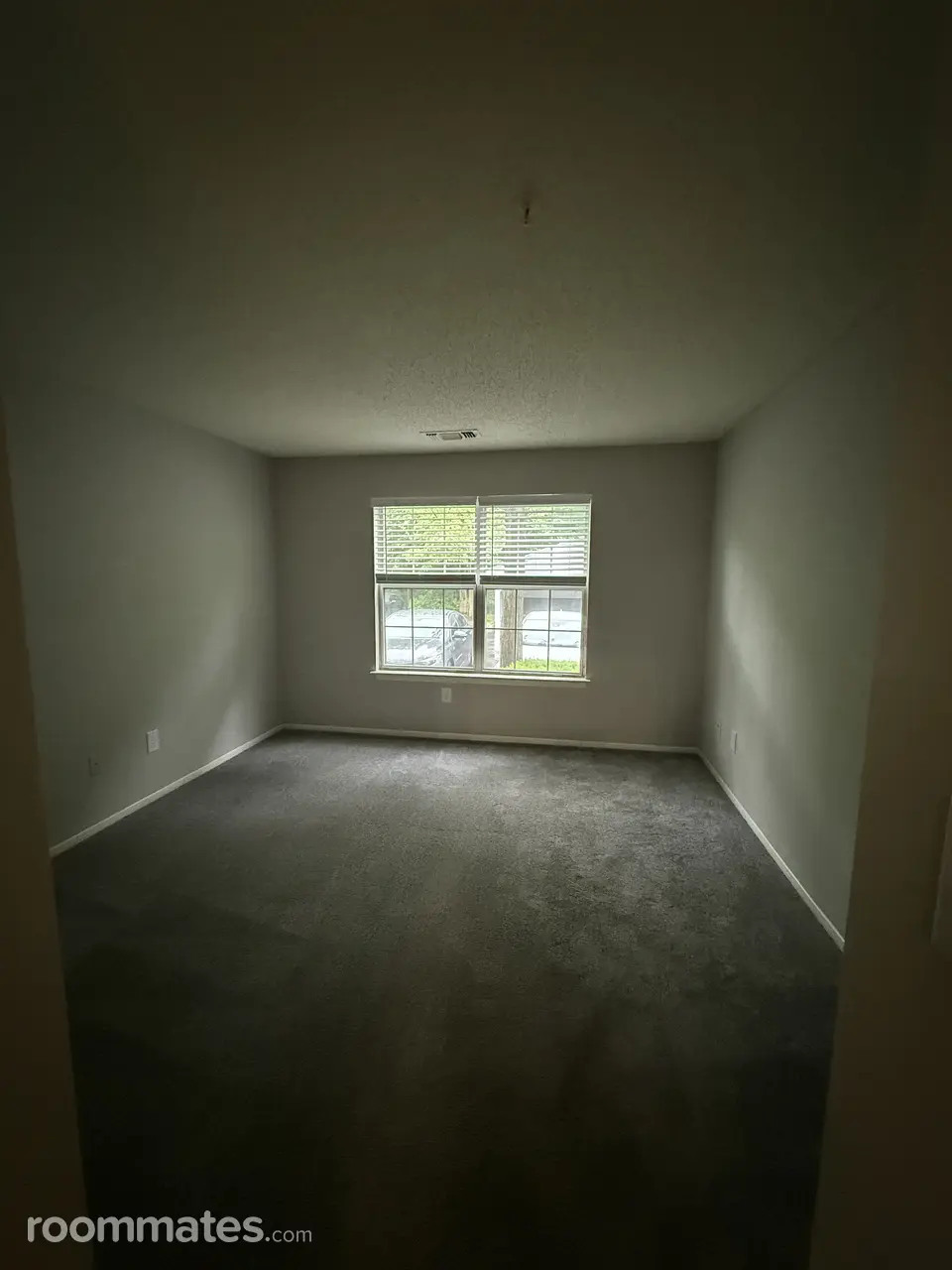 Profile photo 10 of 11