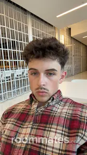 Roommate looking Crofton, MD, $1200