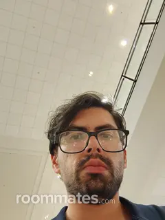 Roommate looking Carnegie, PA, $700