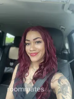 Roommate looking Minneapolis, MN, $2000