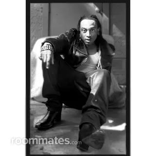 Roommate looking Los Angeles, CA, $1300