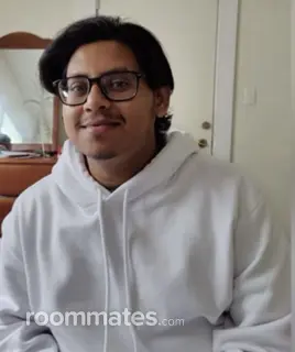 Roommate looking Birmingham, AL, $800