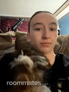 Roommate looking Salt Lake City, UT, $500