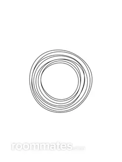 Roommate looking Charlotte, NC, $2000